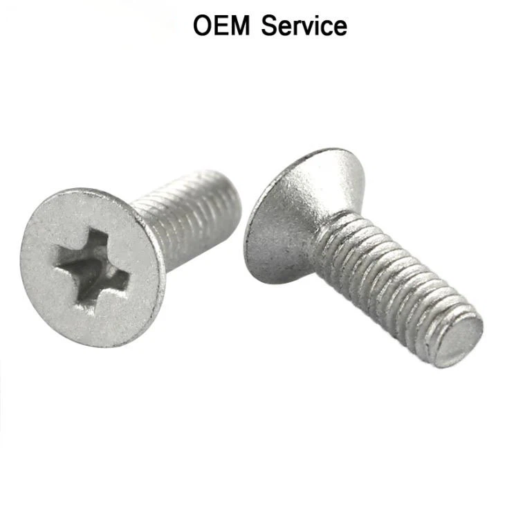 Flat Head Phillips Silver Screw