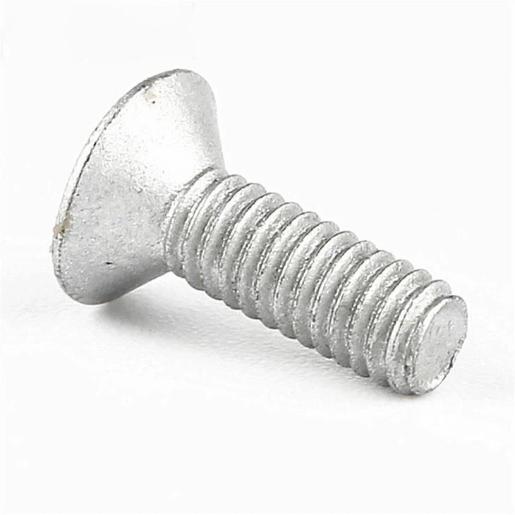 Flat Head Phillips Silver Screw