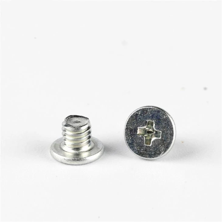 Stainless Steel Phillips Small White Screw